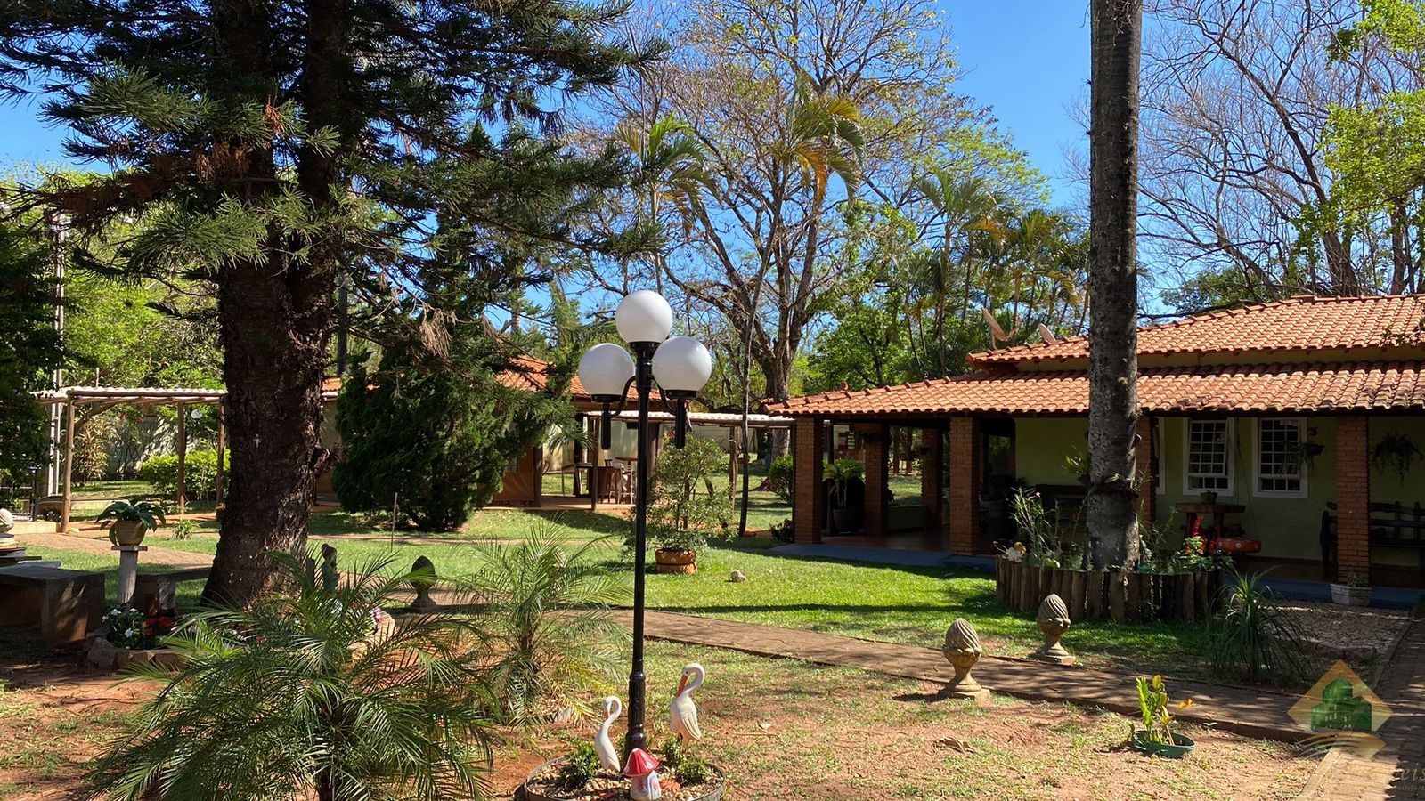 Fazenda à venda com 6 quartos, 5049m² - Foto 13